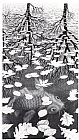 MC Escher Three Worlds